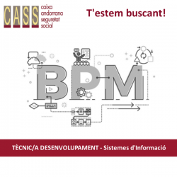 TÈCNIC/A DESENVOLUPAMENT - Sitemes d'Informació