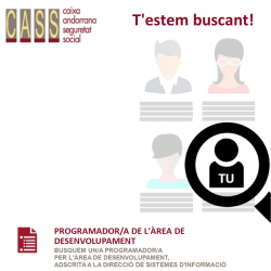 PROGRAMADOR/A DE L'ÀREA DE DESENVOLUPAMENT