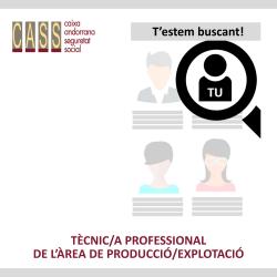 TÈCNIC/A PROFESSIONAL DE L'ÀREA DE PRODUCCIÓ/EXPLOTACIÓ