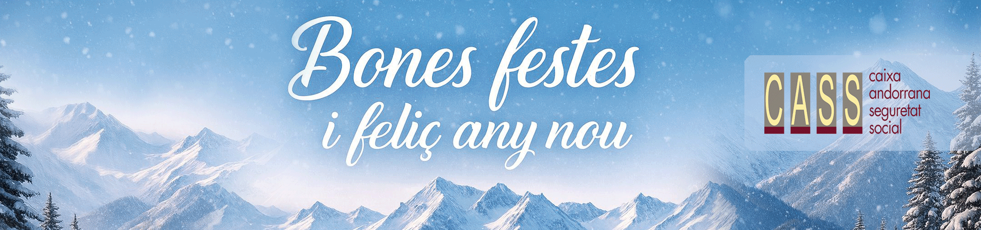 Bones festes i feliç any nou