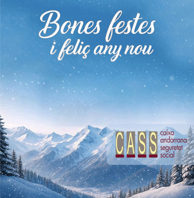 Bones festes i feliç any nou