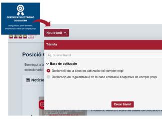 PERSONES QUE DUEN A TERME UNA ACTIVITAT PER COMPTE PROPI AMB UNA DECLARACIÓ ADAPTATIVA A LA REALITAT ECONÒMICA EN CURS