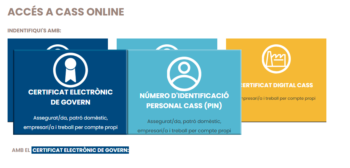 Accés CASS online