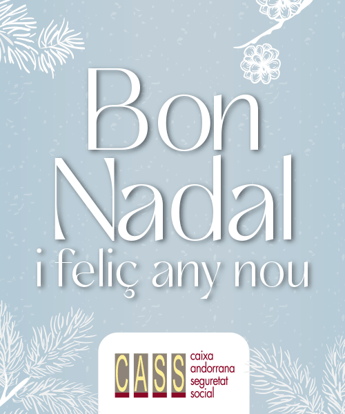 Bon Nadal i feliç any nou